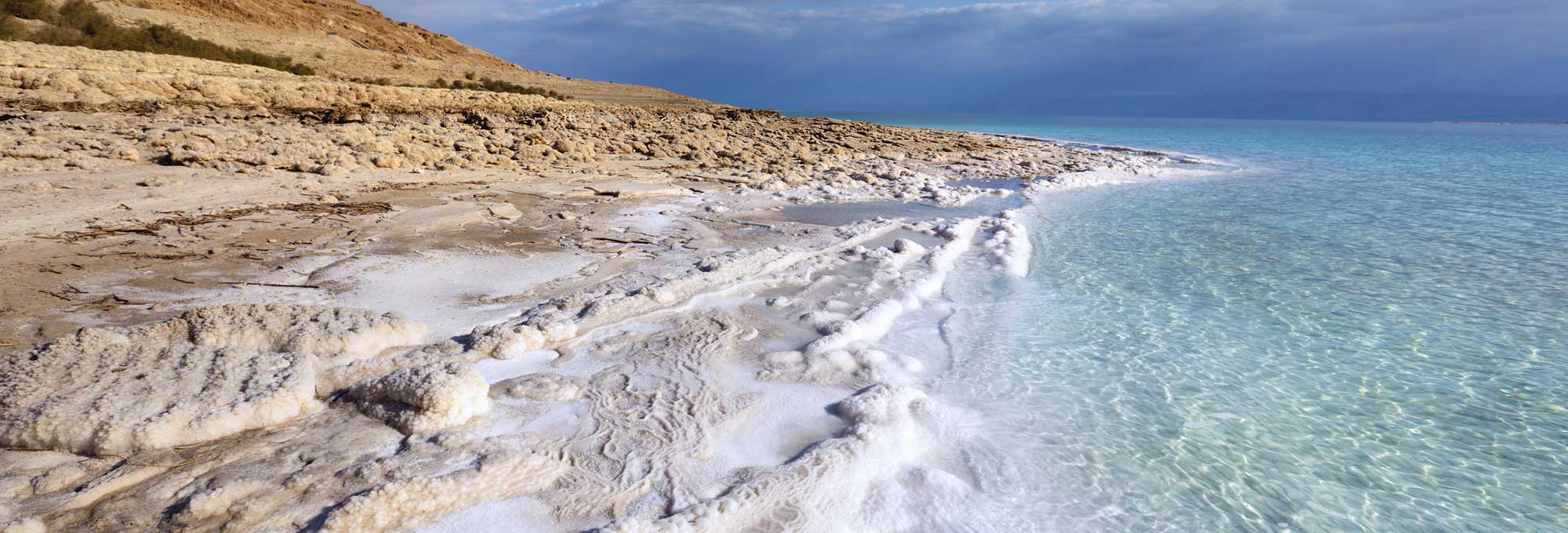 image of banner_2